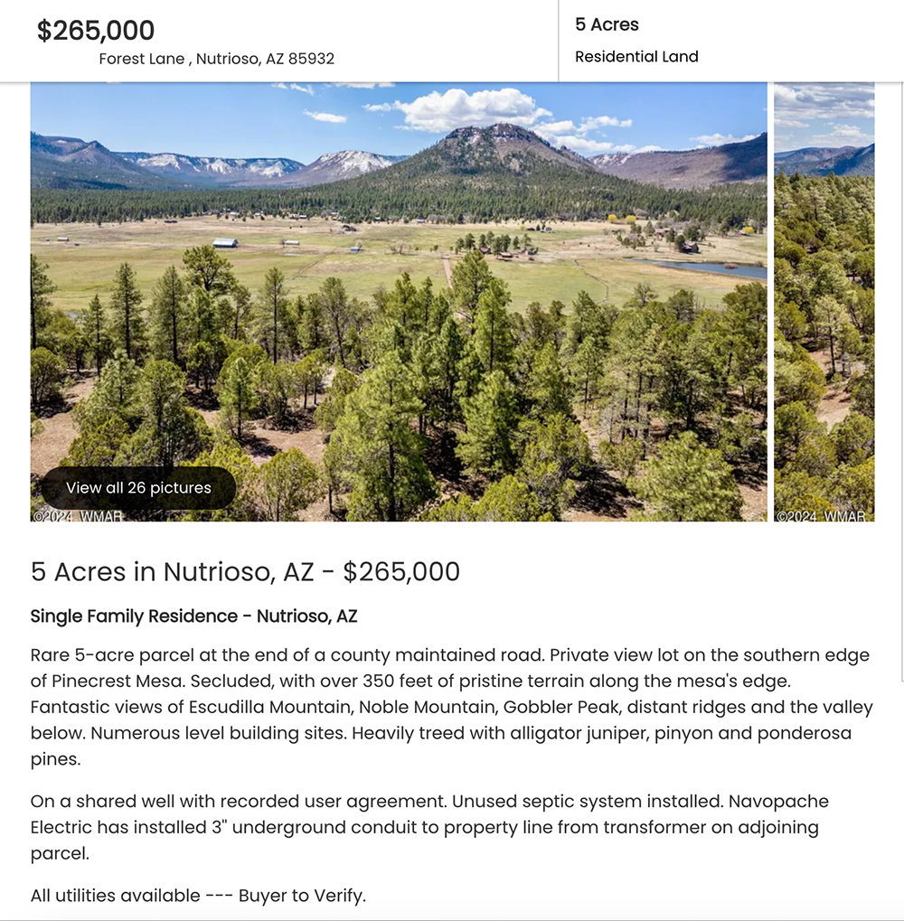 Nutrioso property