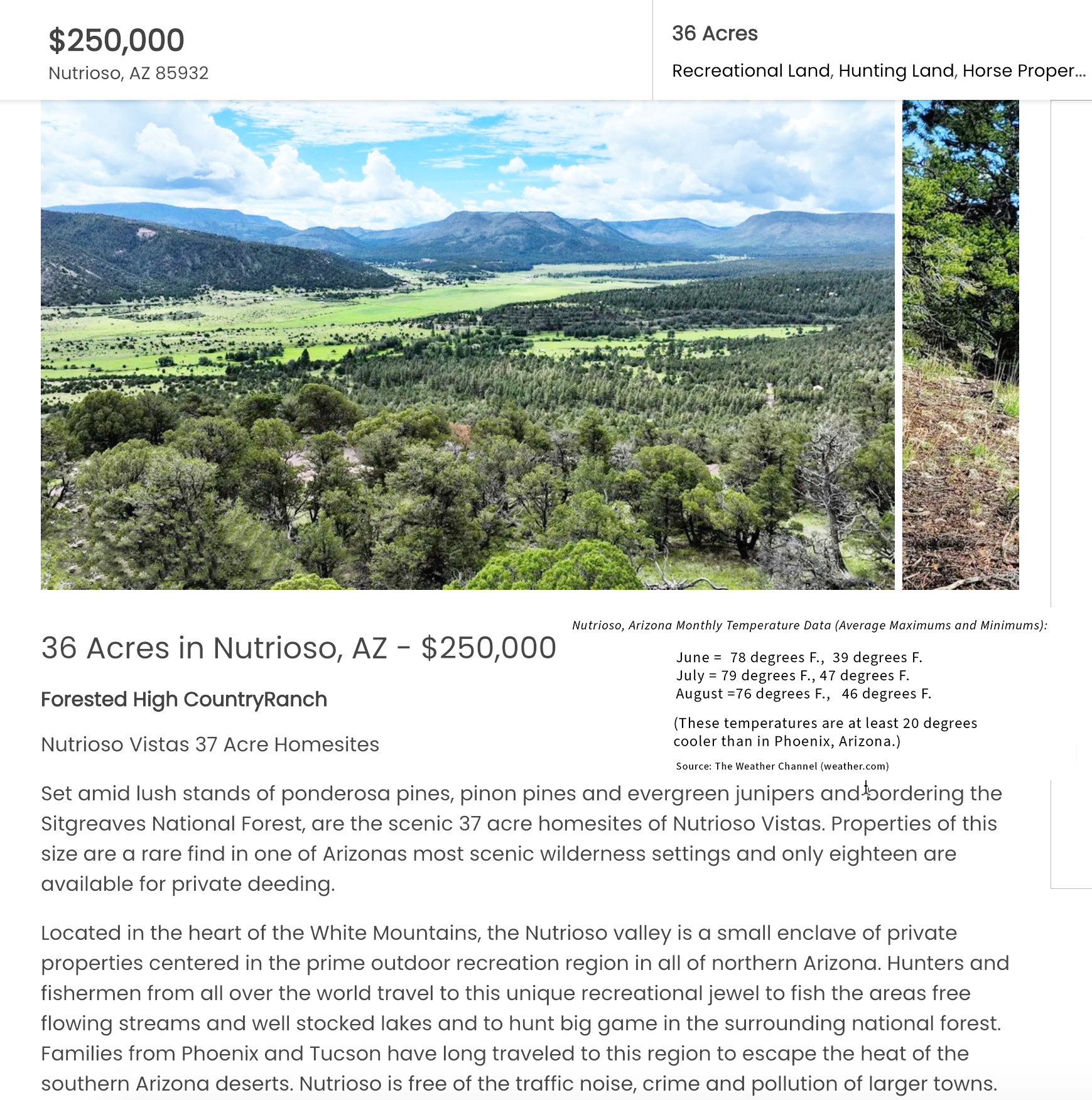 Nutrioso Property